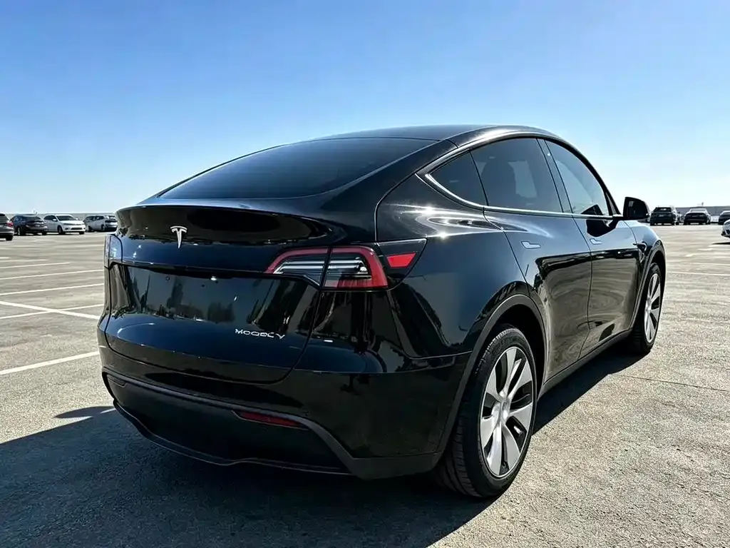 Tesla Model Y — фото 7