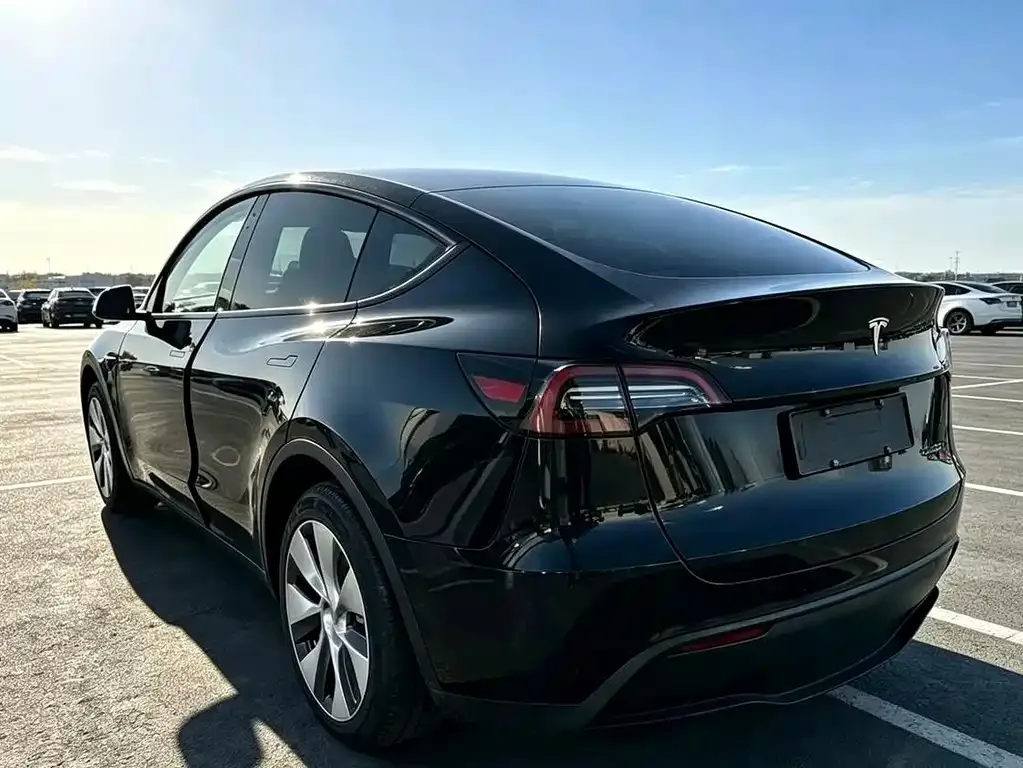 Tesla Model Y — фото 9