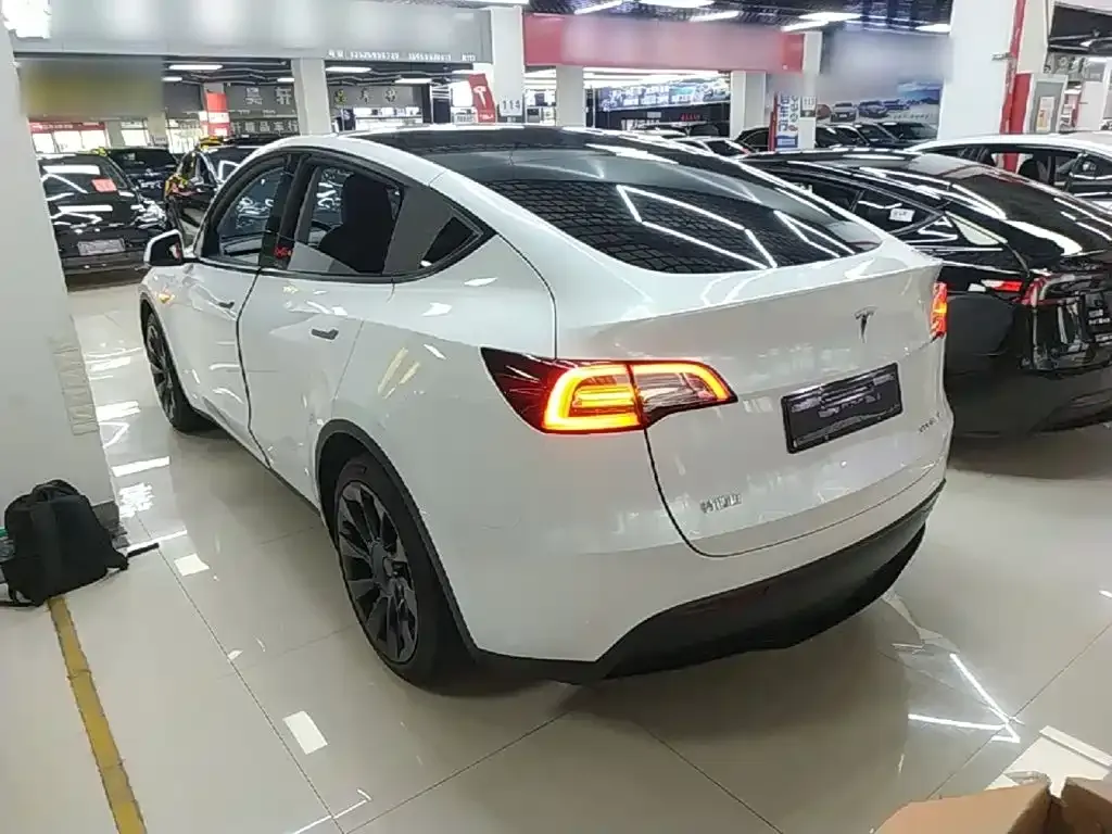 Tesla Model Y — фото 10