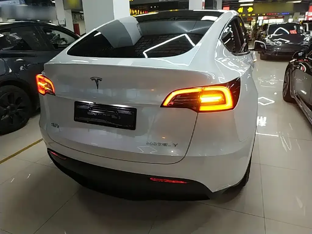 Tesla Model Y — фото 3