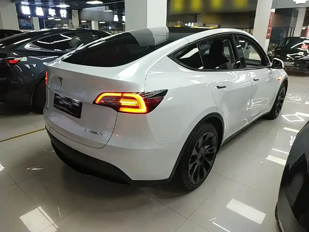 Tesla Model Y — фото 7