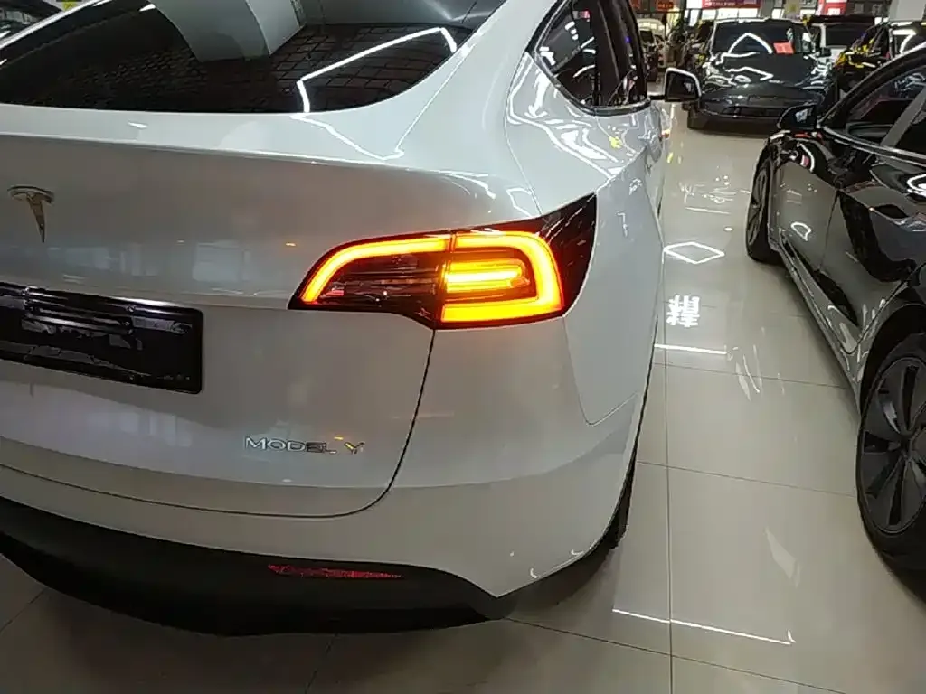 Tesla Model Y — фото 9