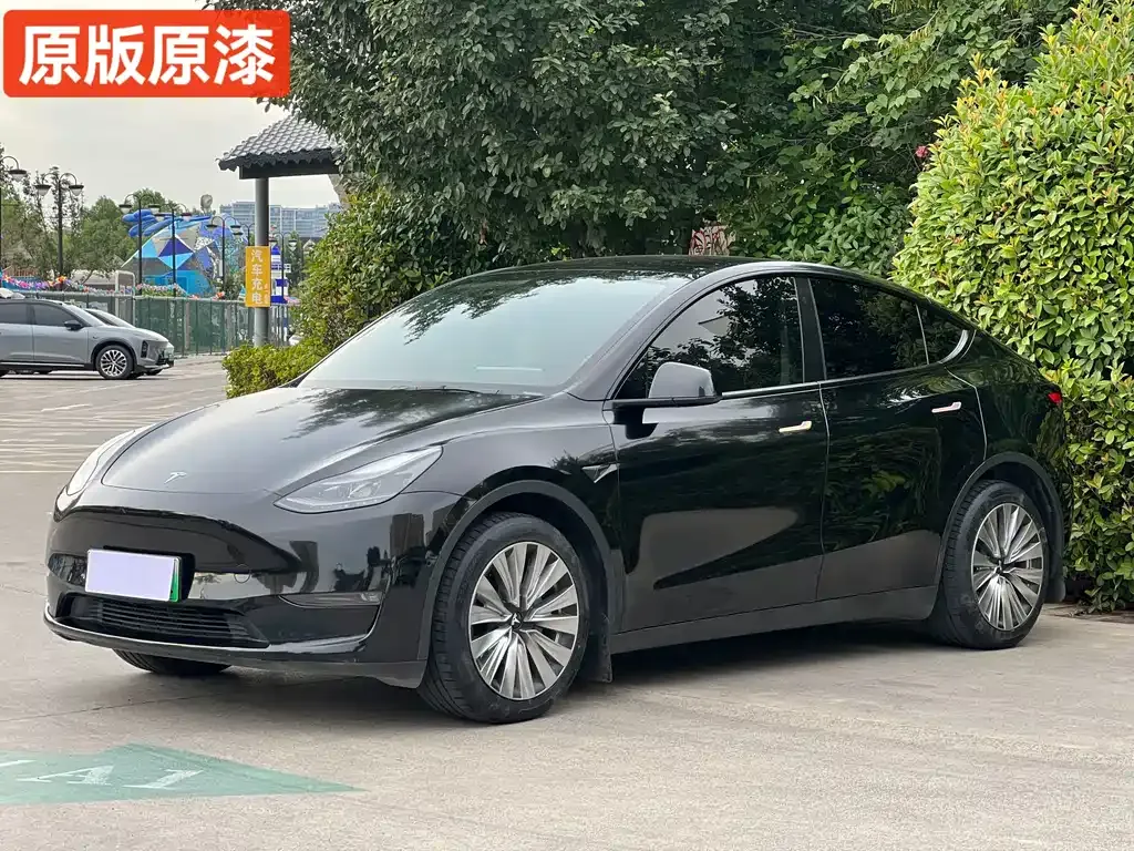 Tesla Model Y — фото 1