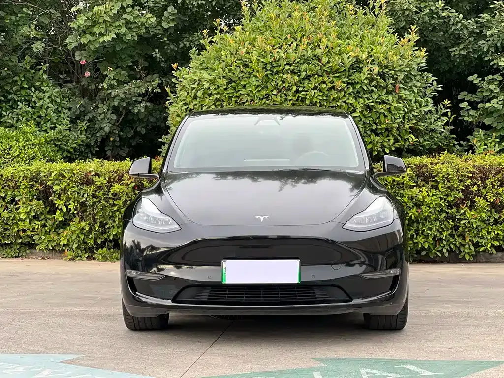 Tesla Model Y — фото 10