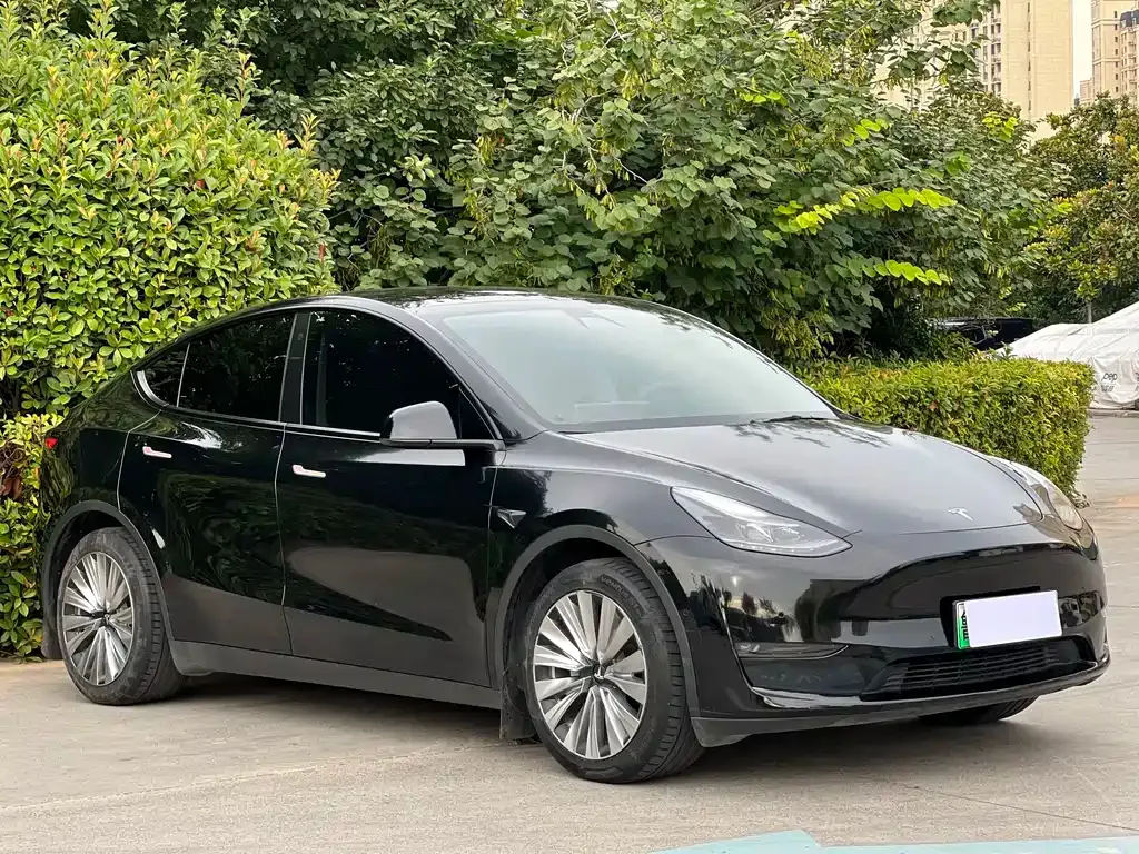 Tesla Model Y — фото 9