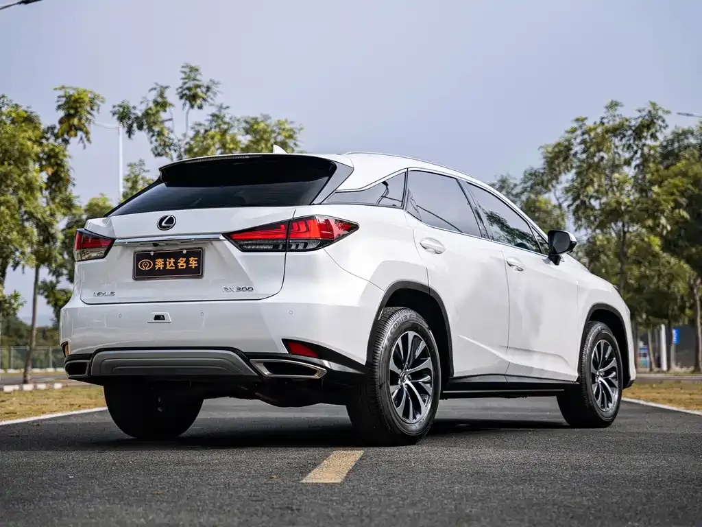 Lexus RX — фото 9