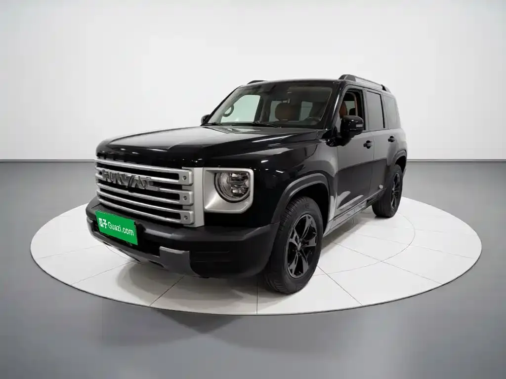 Haval Menglong New Energy — фото 1