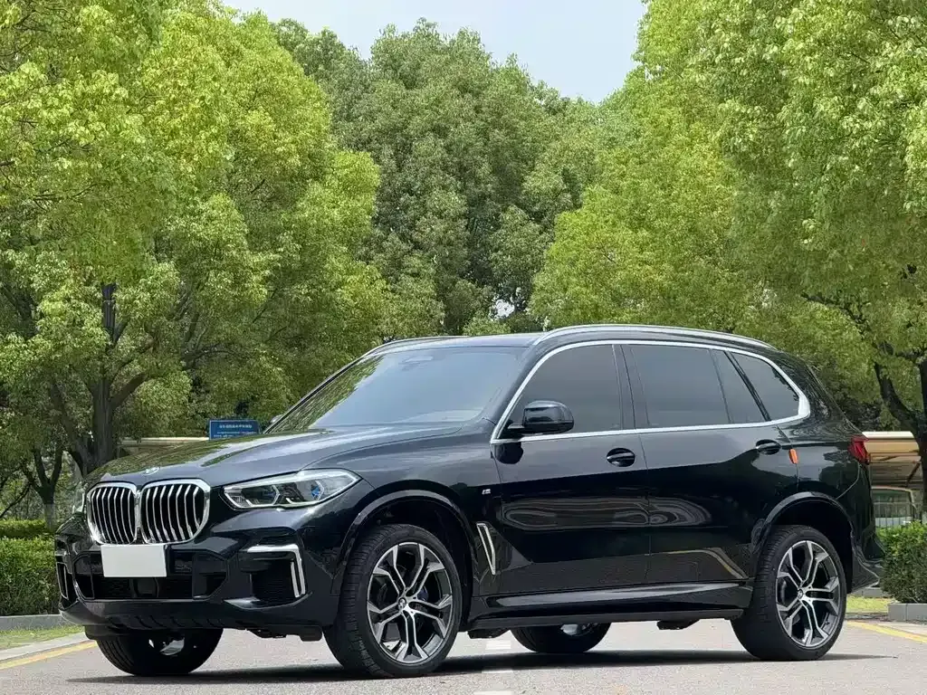 BMW X5 — фото 1
