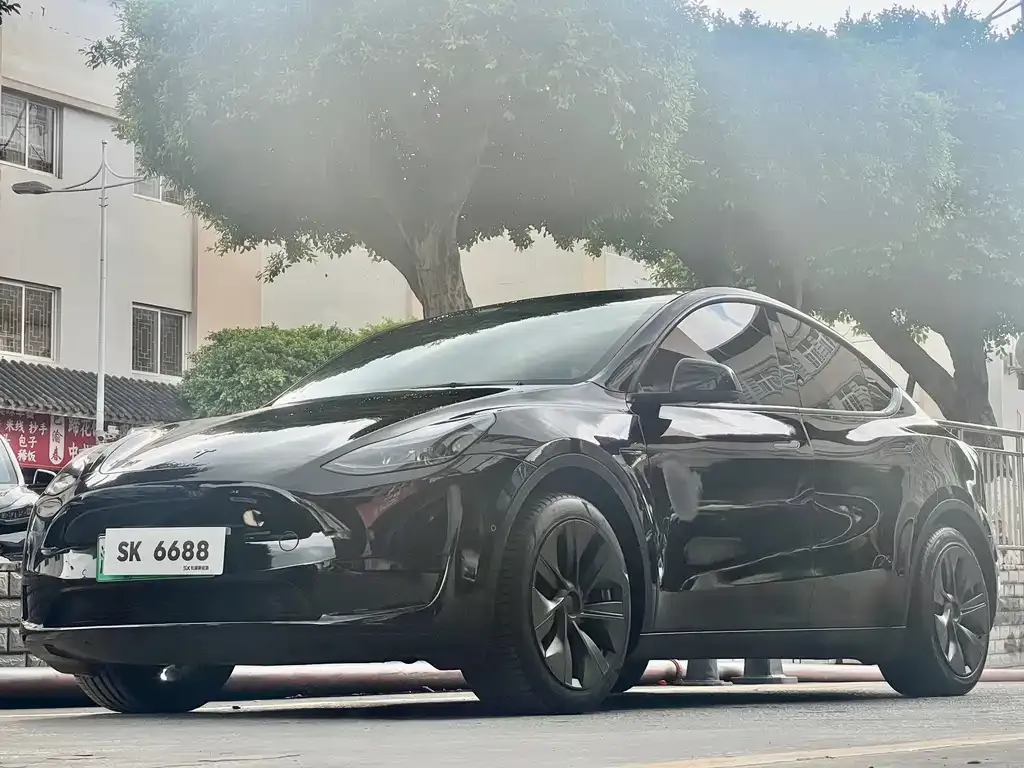 Tesla Model Y — фото 1