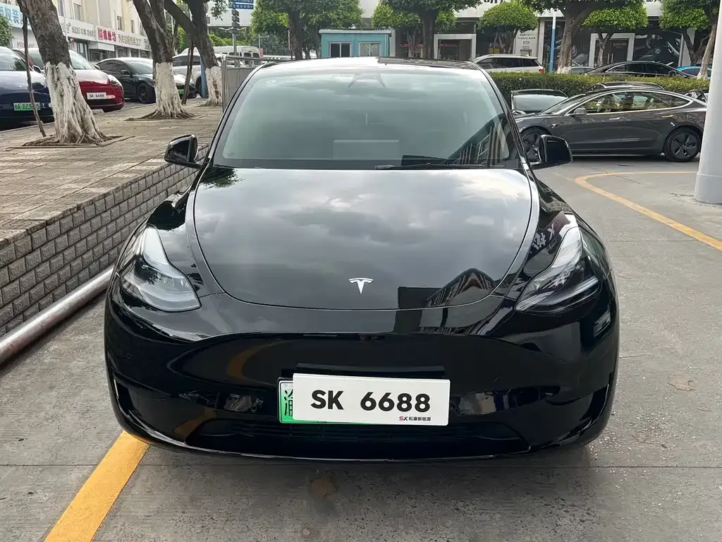 Tesla Model Y — фото 5
