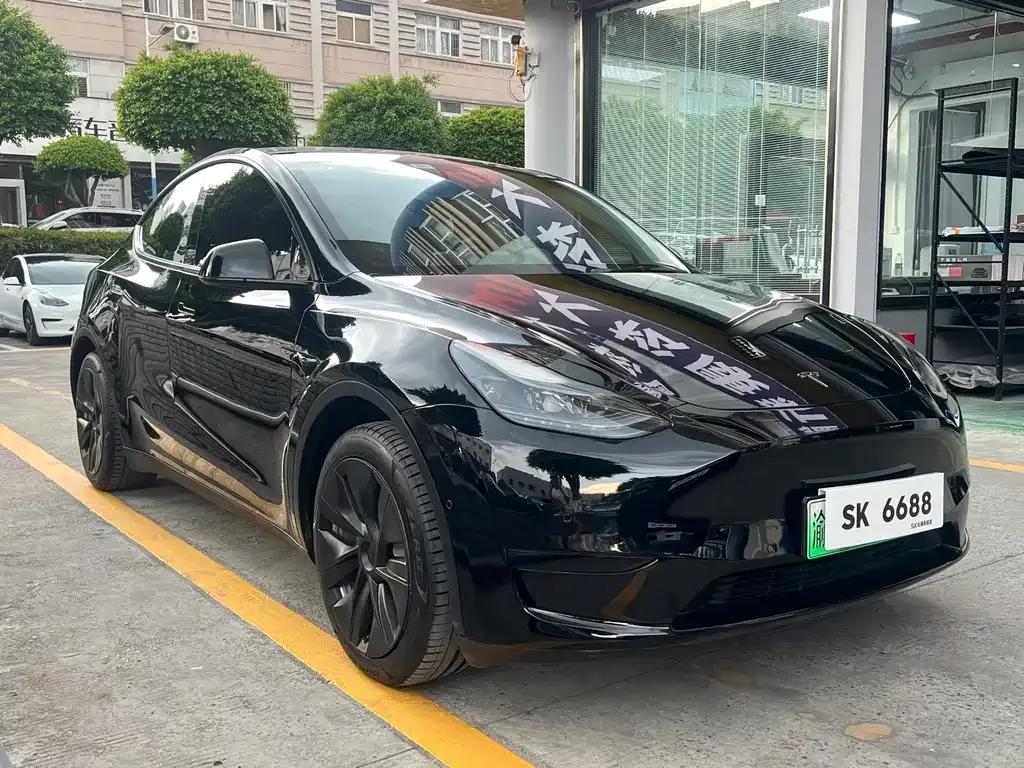 Tesla Model Y — фото 10
