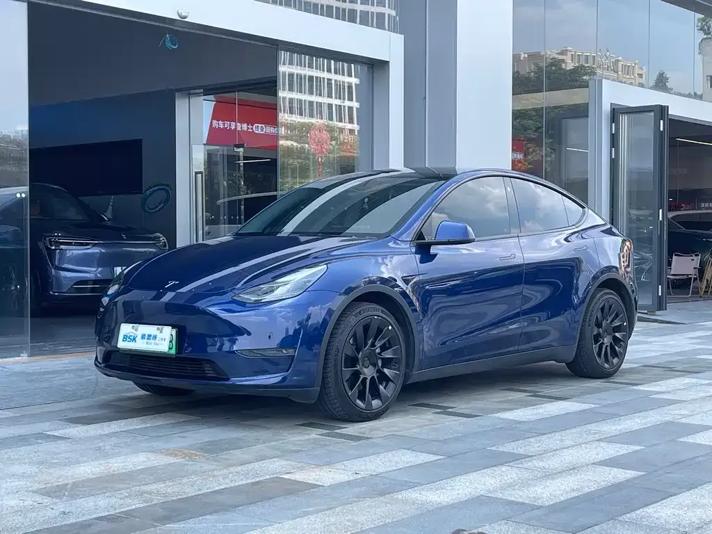 Tesla Model Y — фото 1