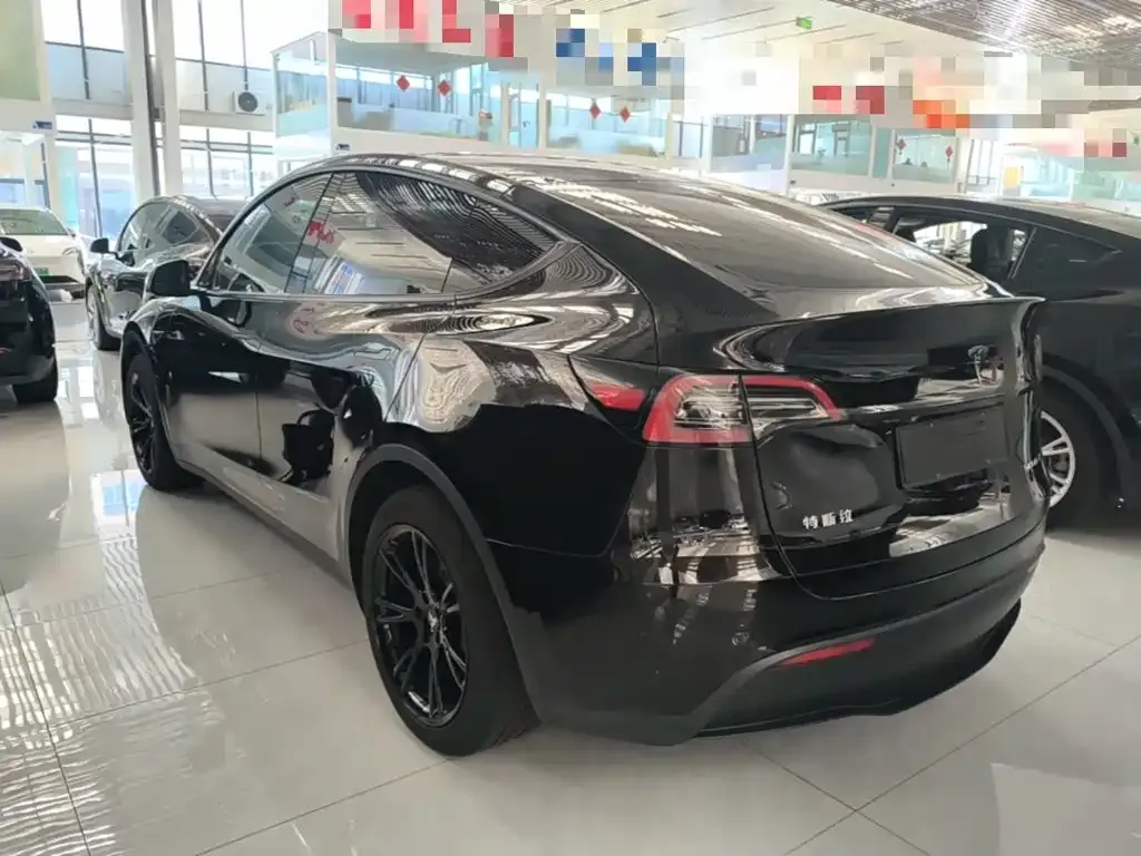 Tesla Model Y — фото 3