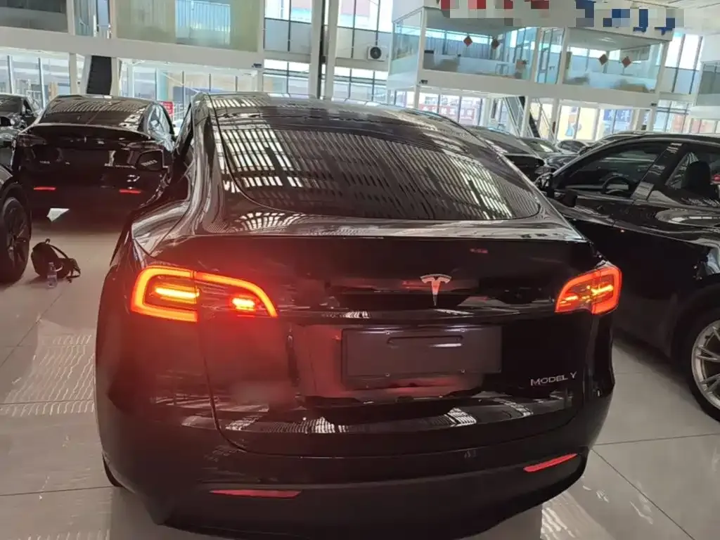 Tesla Model Y — фото 10