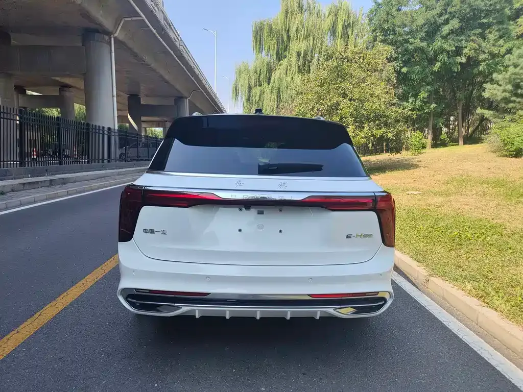 Hongqi E-HS9 — фото 2