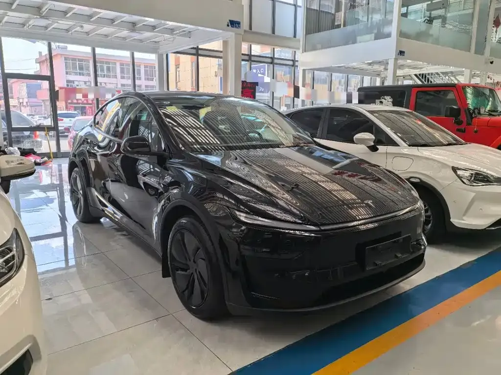 Tesla Model Y — фото 10
