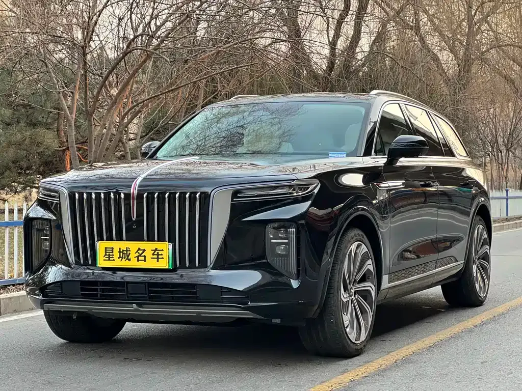 Hongqi E-HS9 — фото 1