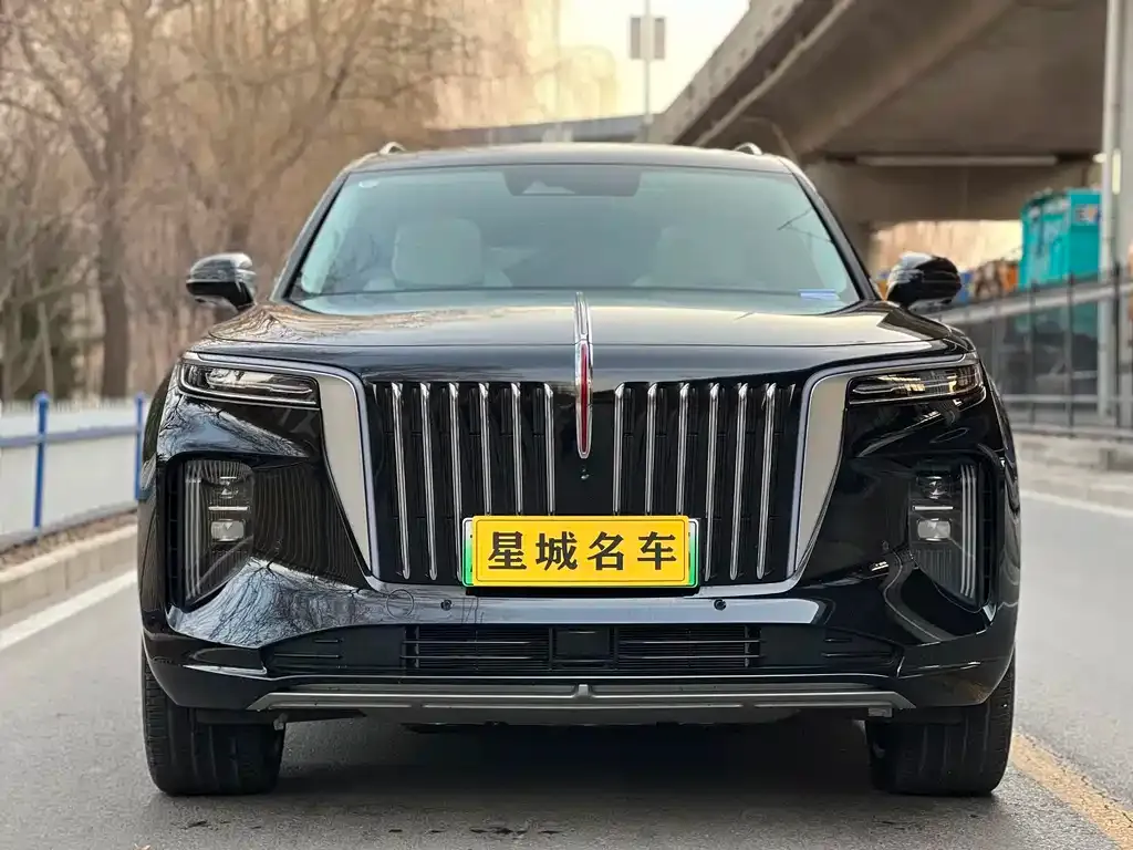 Hongqi E-HS9 — фото 2
