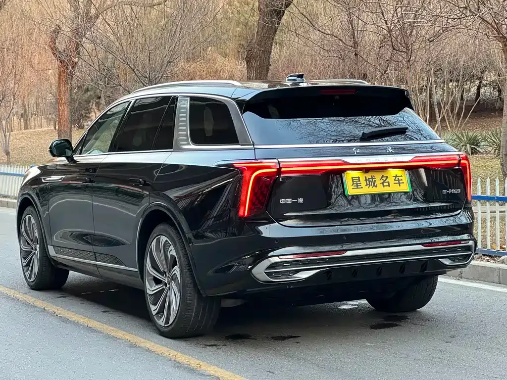 Hongqi E-HS9 — фото 5