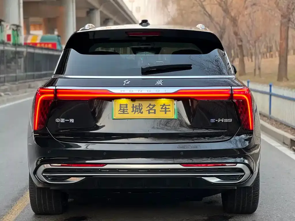 Hongqi E-HS9 — фото 4