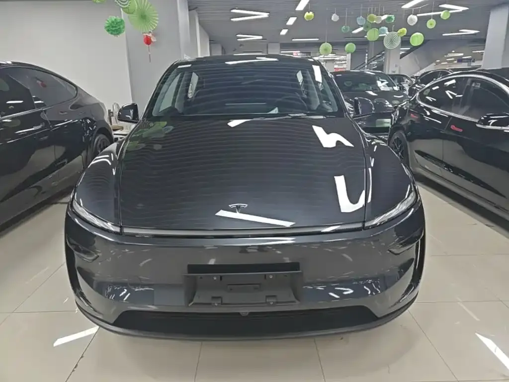 Tesla Model Y — фото 2