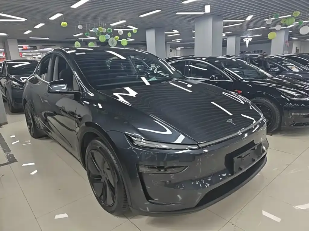 Tesla Model Y — фото 6