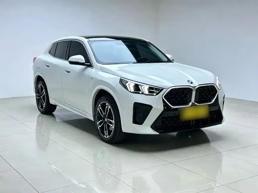 BMW X2 (Import) — фото 8