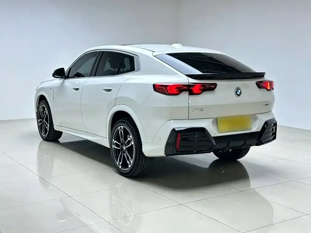 BMW X2 (Import) — фото 6