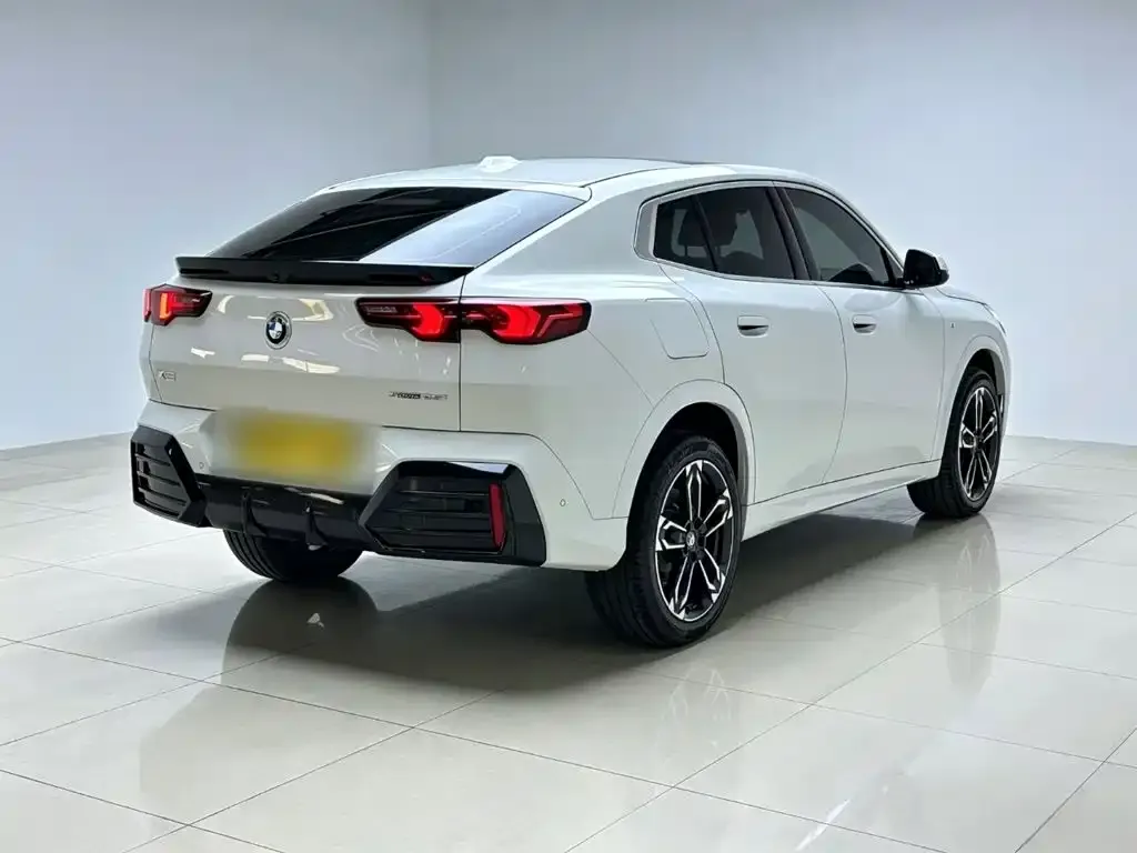BMW X2 (Import) — фото 10