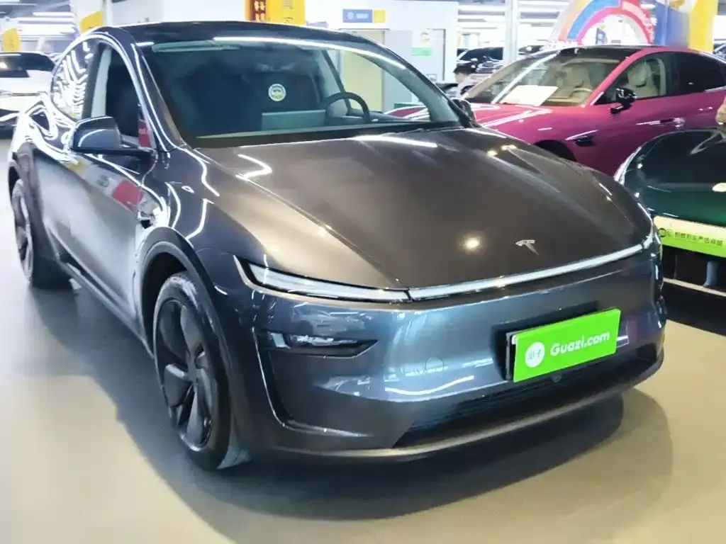 Tesla Model Y — фото 10