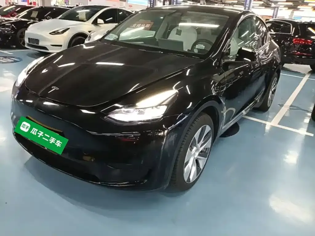 Tesla Model Y — фото 2