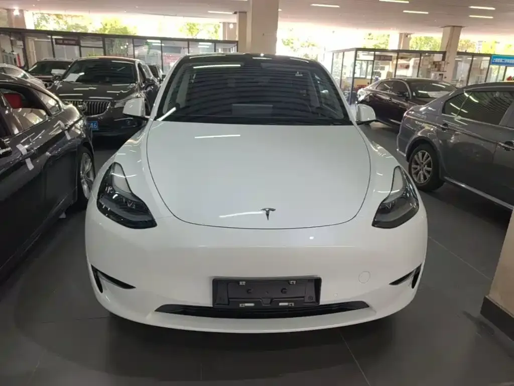 Tesla Model Y — фото 4