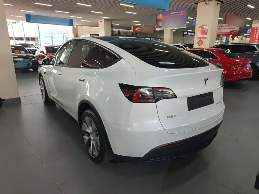 Tesla Model Y — фото 10
