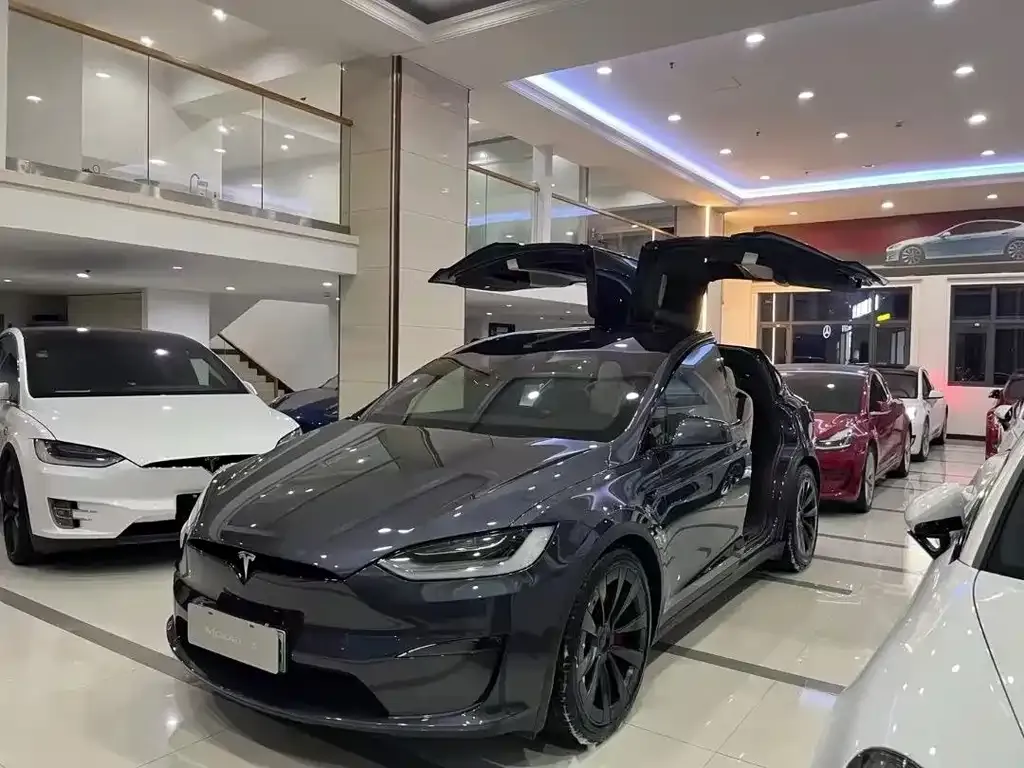 Tesla Model X — фото 1