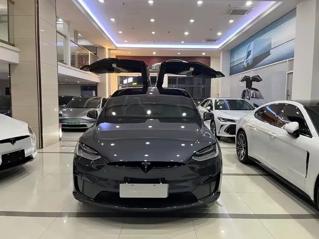 Tesla Model X — фото 8