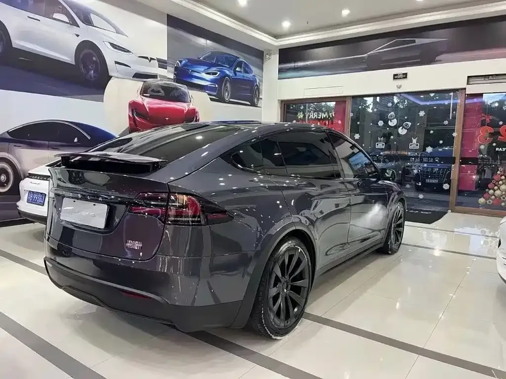 Tesla Model X — фото 6