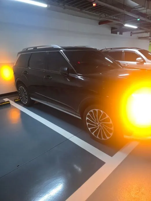 Hyundai Palisade — фото 1