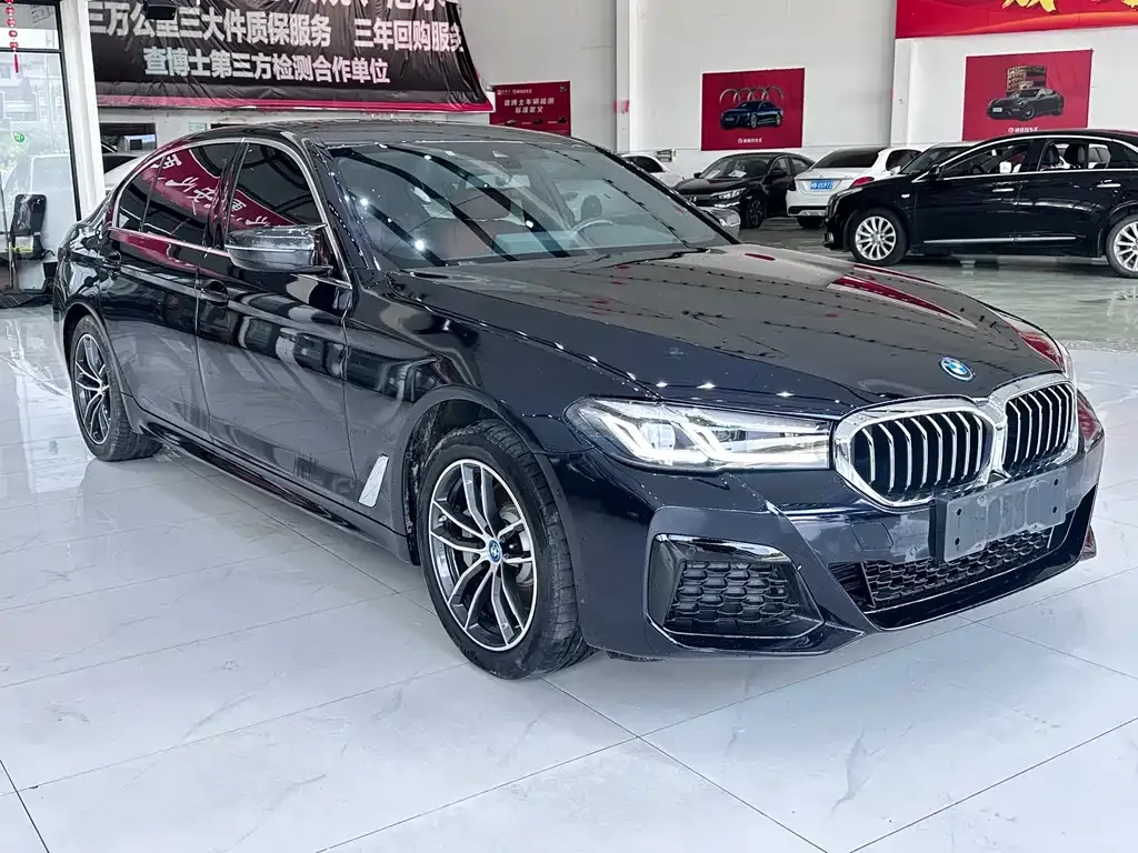 BMW 5 Series New Energy — фото 9