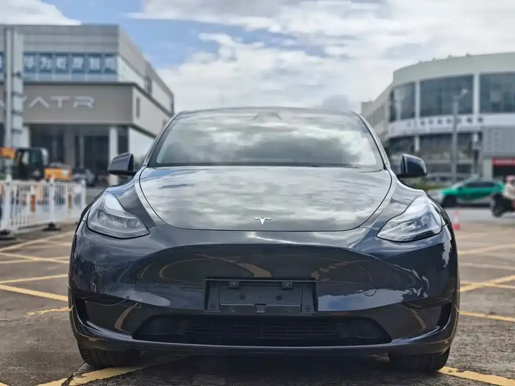 Tesla Model Y — фото 10