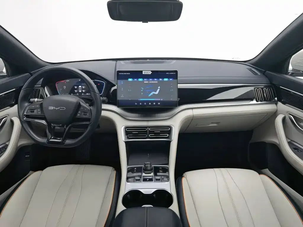 BYD PLUS New Energy — фото 10