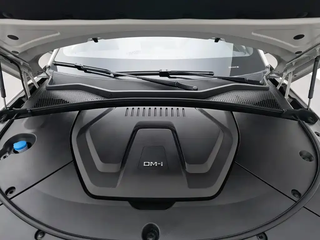 BYD PLUS New Energy — фото 9