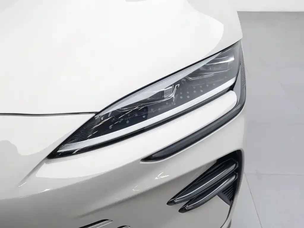 BYD PLUS New Energy — фото 4