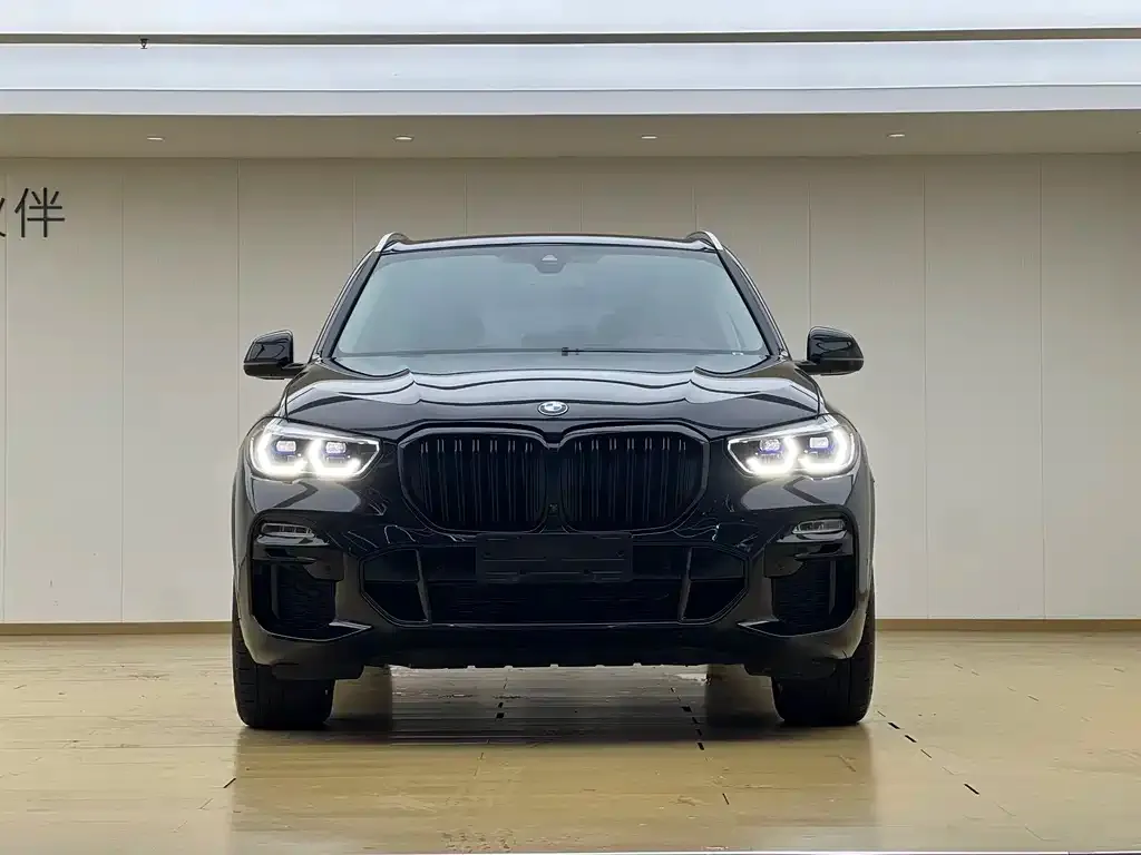 BMW X5 (Import) — фото 2