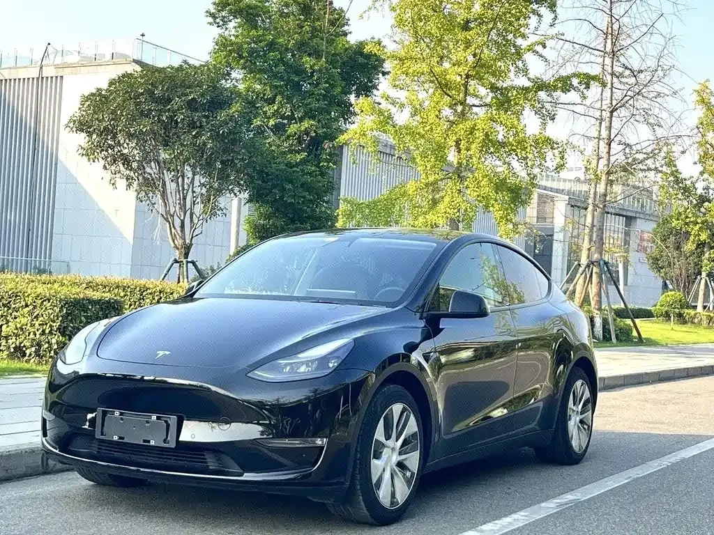 Tesla Model Y — фото 1