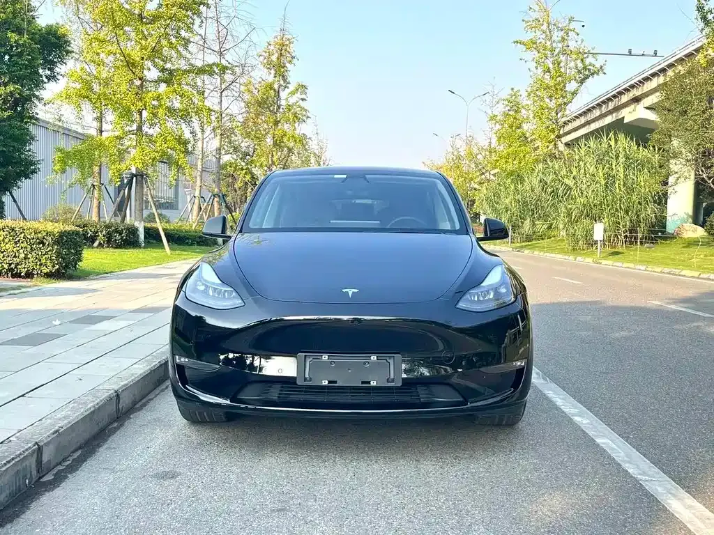 Tesla Model Y — фото 2