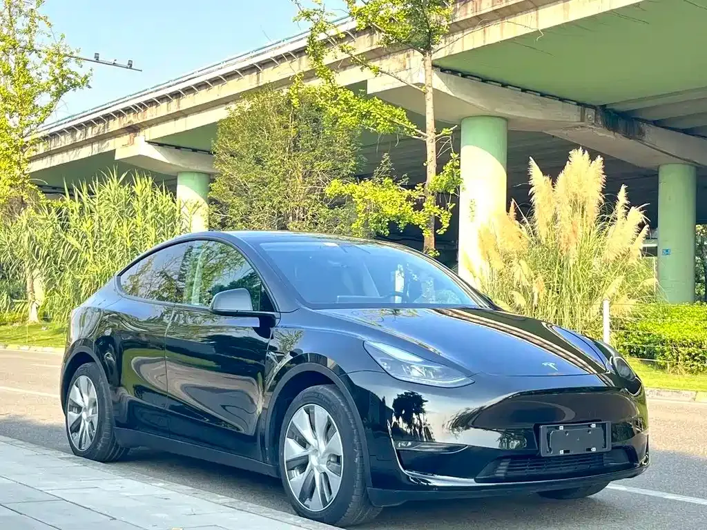 Tesla Model Y — фото 5