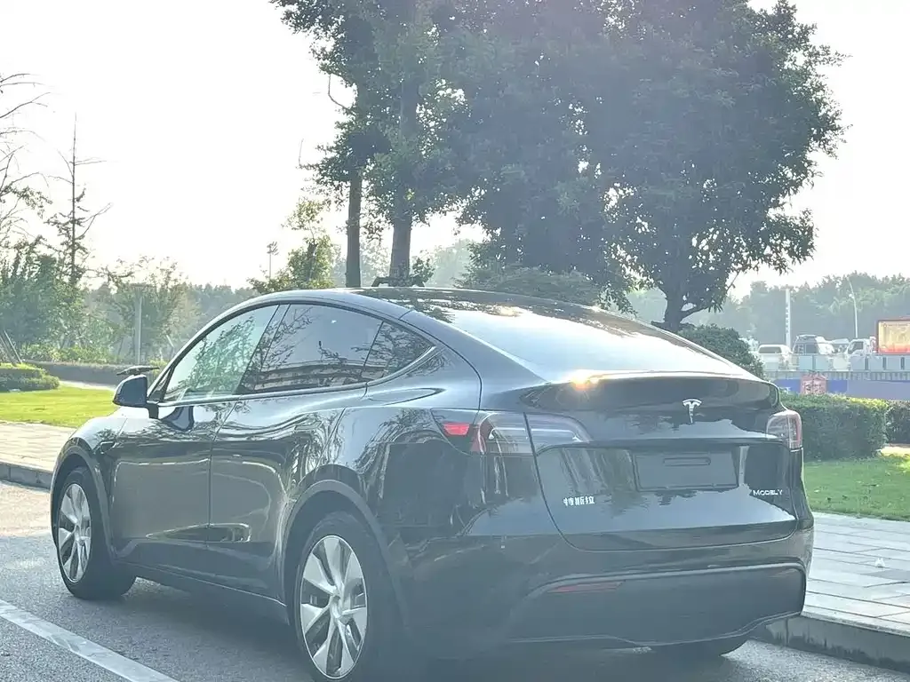 Tesla Model Y — фото 8