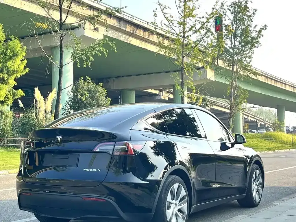 Tesla Model Y — фото 9