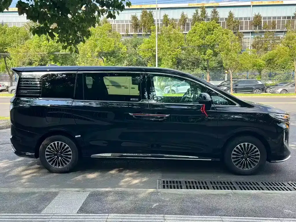 Hongqi HQ9 PHEV — фото 6