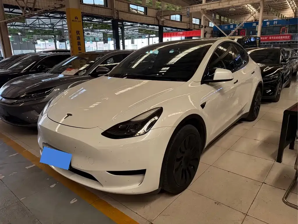 Tesla Model Y — фото 1